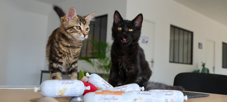 Friandises Naturelles pour chat