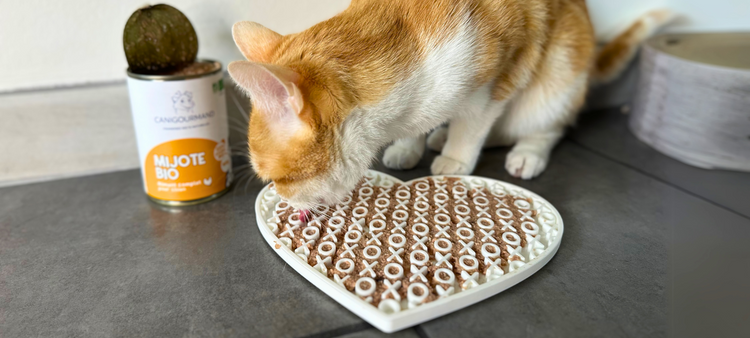 Tapis de léchage pour Chat