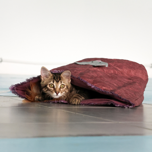 Sac pour chat Marron