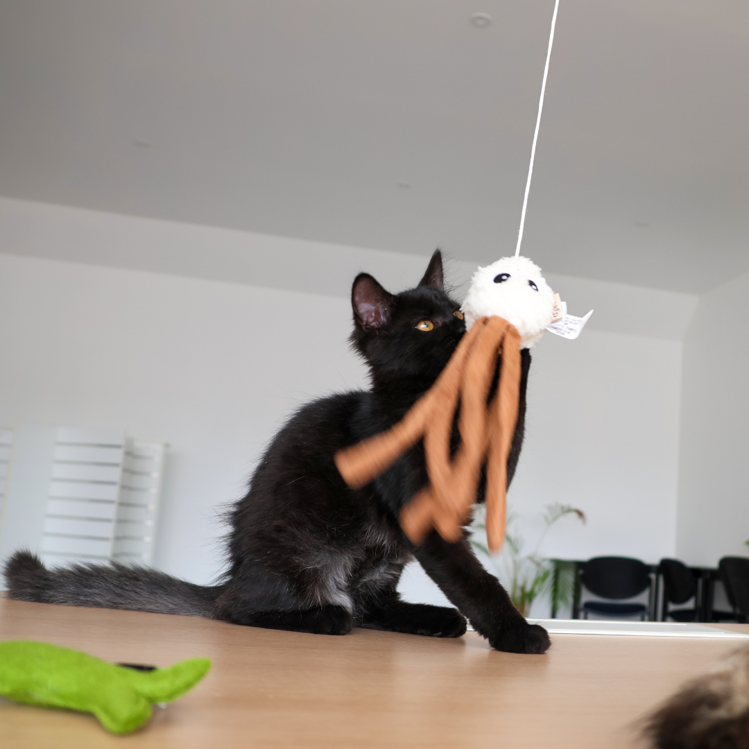 Canne à Pêche Pieuvre