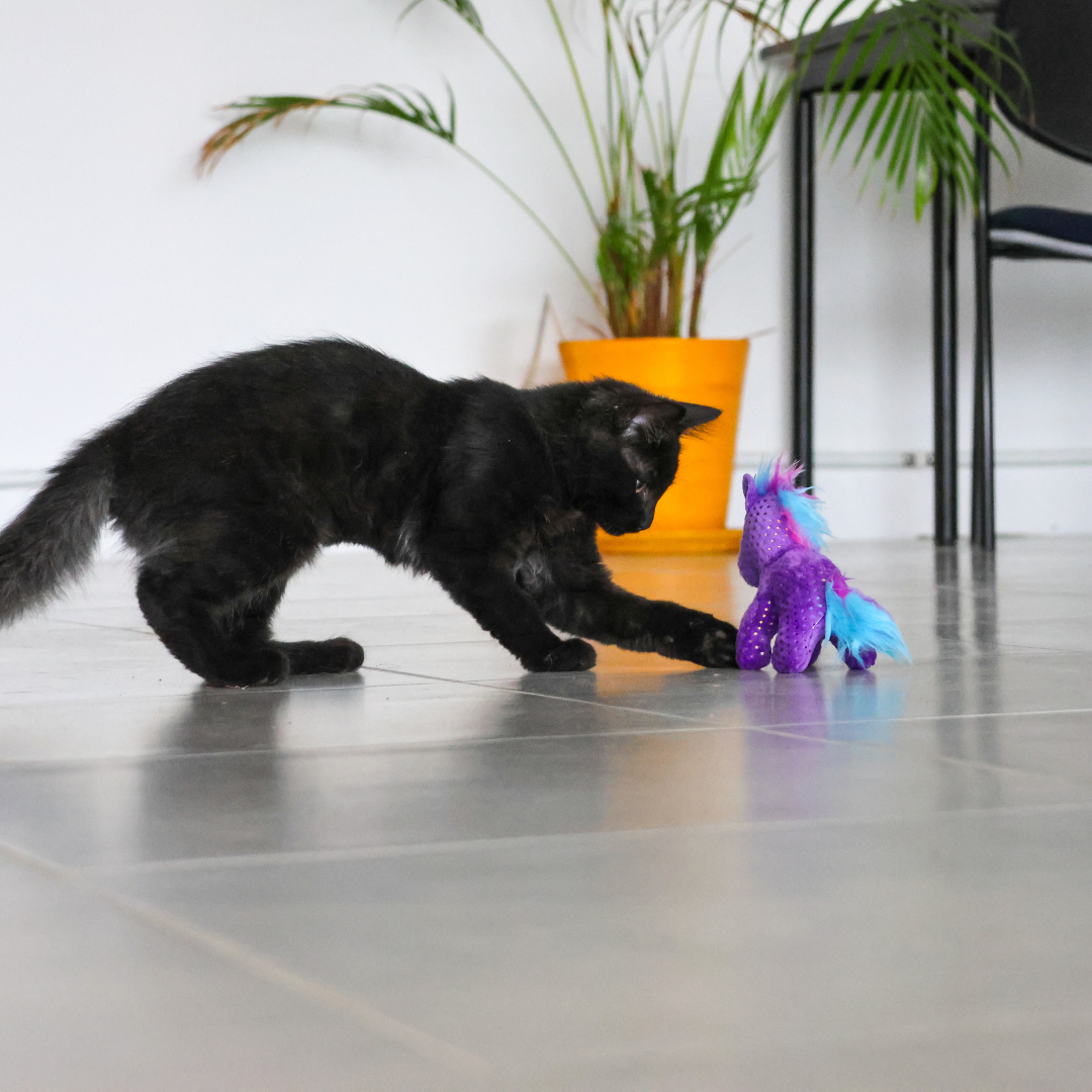 Licorne