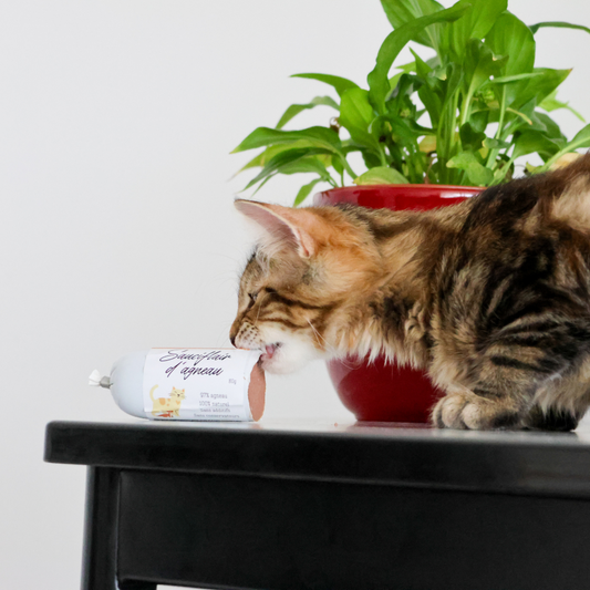 Sauciflair d'Agneau 80g