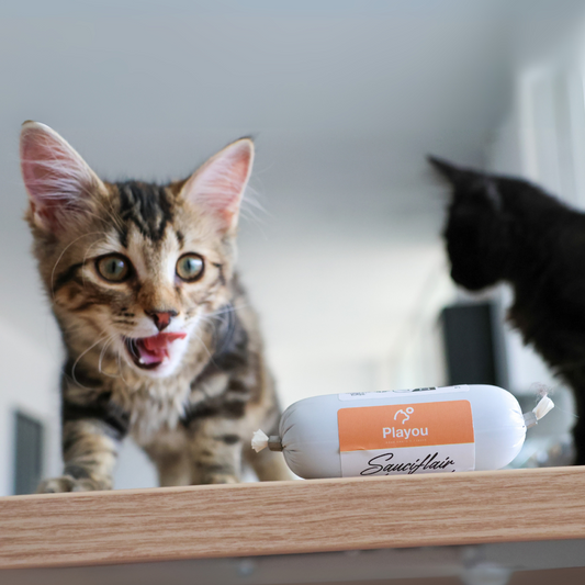 Sauciflair de Boeuf 80g