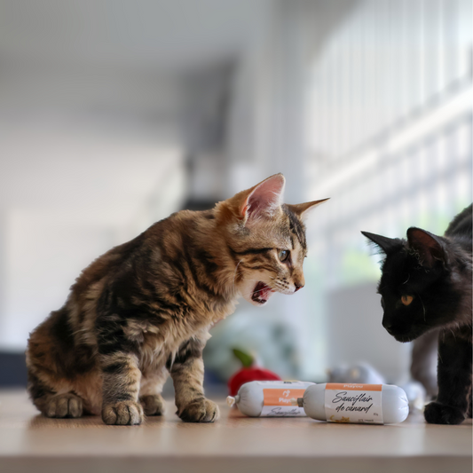 Sauciflair de Canard 80g