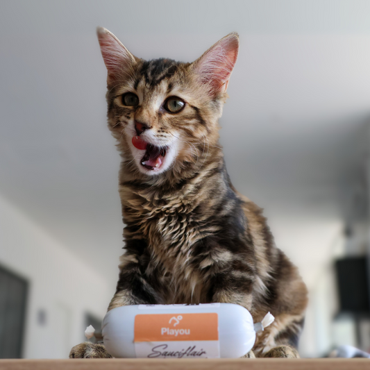 Sauciflair de Cerf 80g