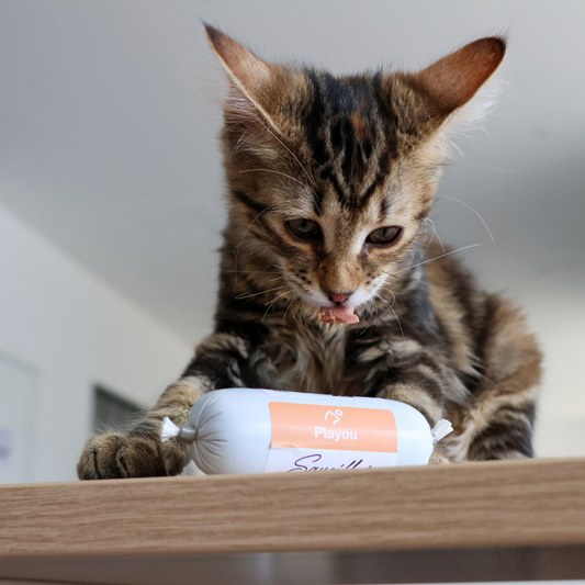 Sauciflair de Sanglier 80g