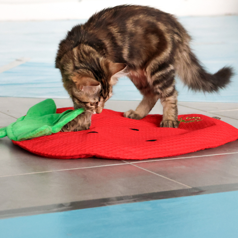 Tapis de jeu fraise
