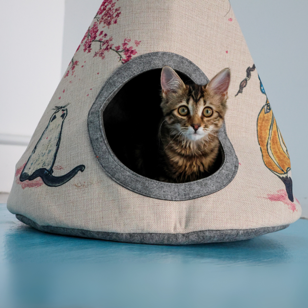 Tipi japonais