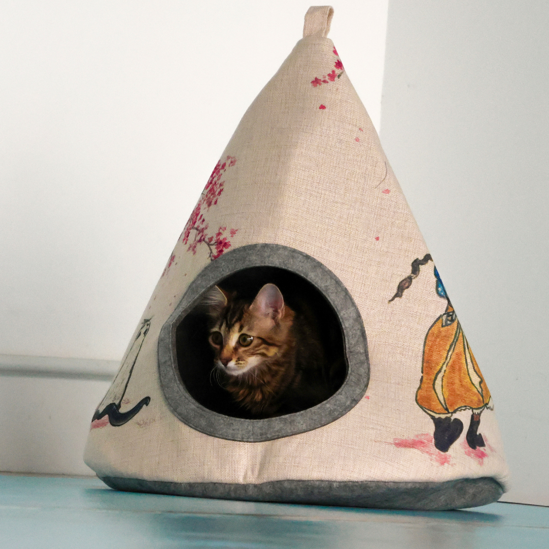 Tipi japonais
