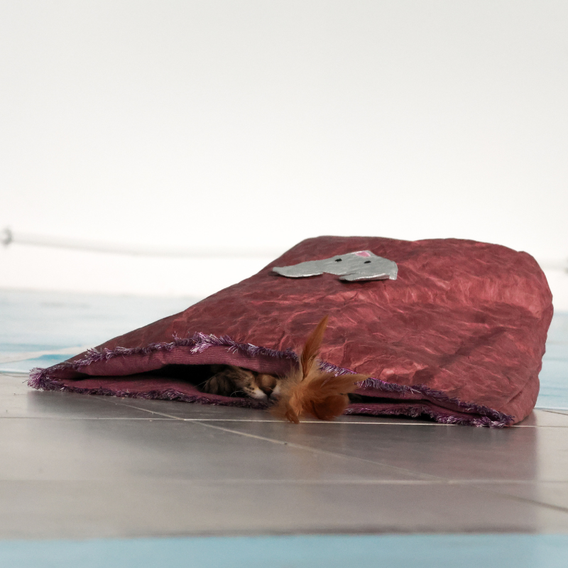 Sac pour chat Marron