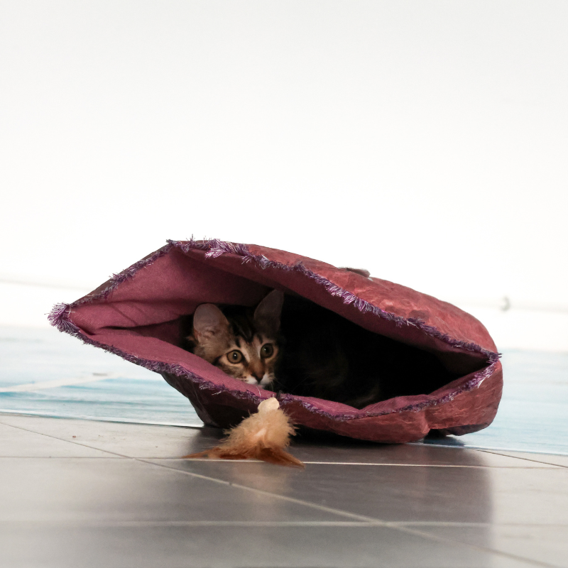 Sac pour chat Marron