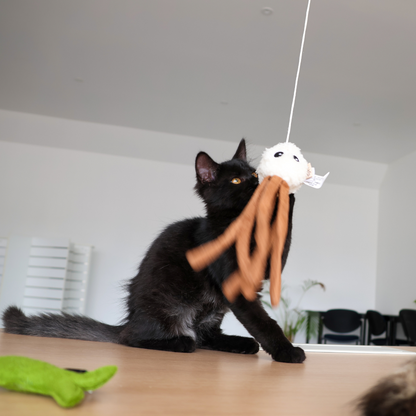 Canne à Pêche Pieuvre