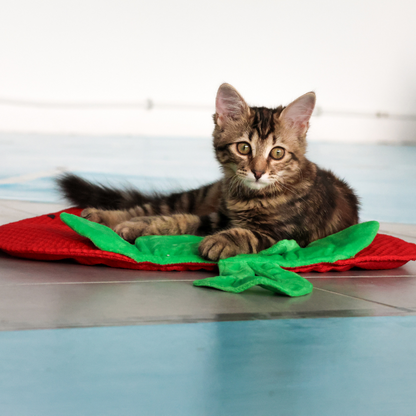 Tapis de jeu fraise